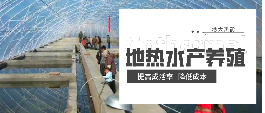 天鎮(zhèn)縣依托地熱資源 發(fā)展水產養(yǎng)殖-地熱溫室養(yǎng)殖-地大熱能 天鎮(zhèn)縣依托地熱資源 發(fā)展水產養(yǎng)殖-地熱溫室養(yǎng)殖-地大熱能