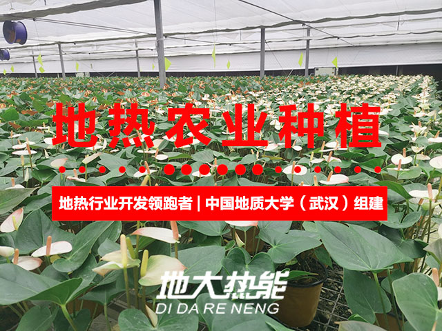 濟南:“地熱能+農業”產業融合,讓地熱能真正“熱”起來-地大熱能 濟南:“地熱能+農業”產業融合,讓地熱能真正“熱”起來-地大熱能